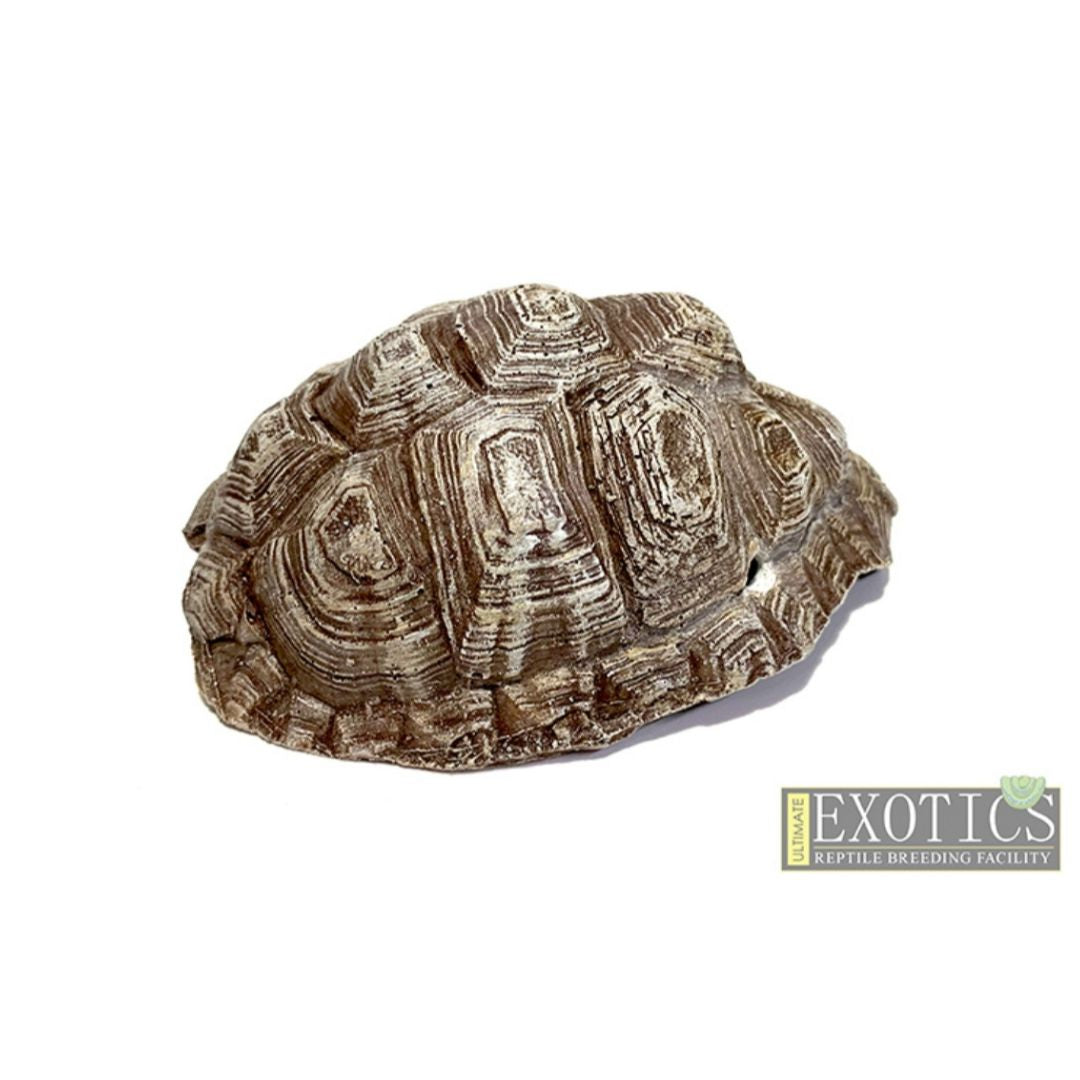 Resin Tortoise Shell – Small