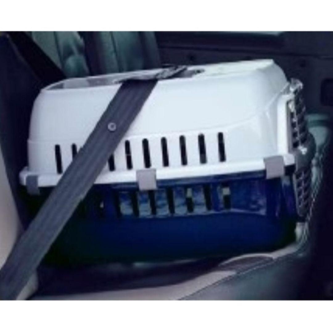 Road Runner Spring Lock Transporter