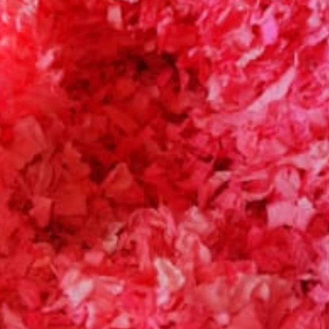 Hamster-Safe Coloured Paper Bedding - 24 Liter