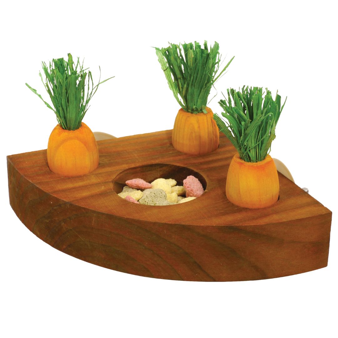 Rosewood Boredom Breaker Carrot Toy 'n' Treat Holder 1