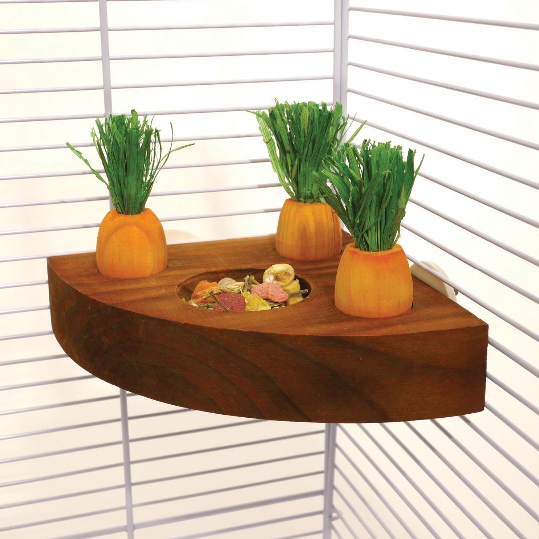 Rosewood Boredom Breaker Carrot Toy 'n' Treat Holder