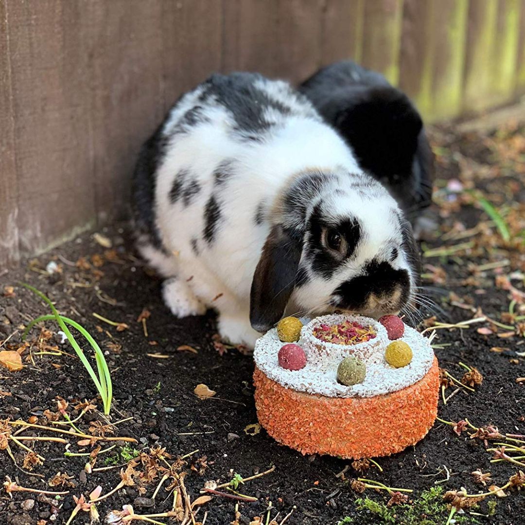 Rosewood Naturals Small Animal Celebration Cake 3