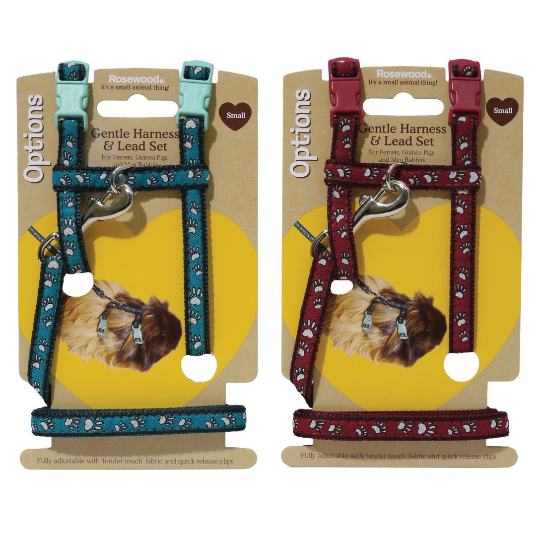Rosewood Paw Print Harness and Lead Small
