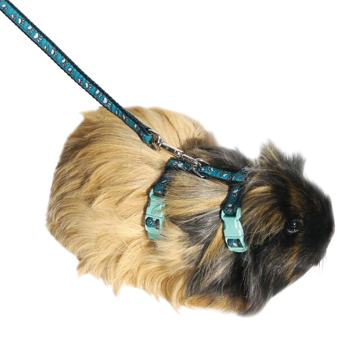 Rosewood Paw Print Harness and Lead Small 2