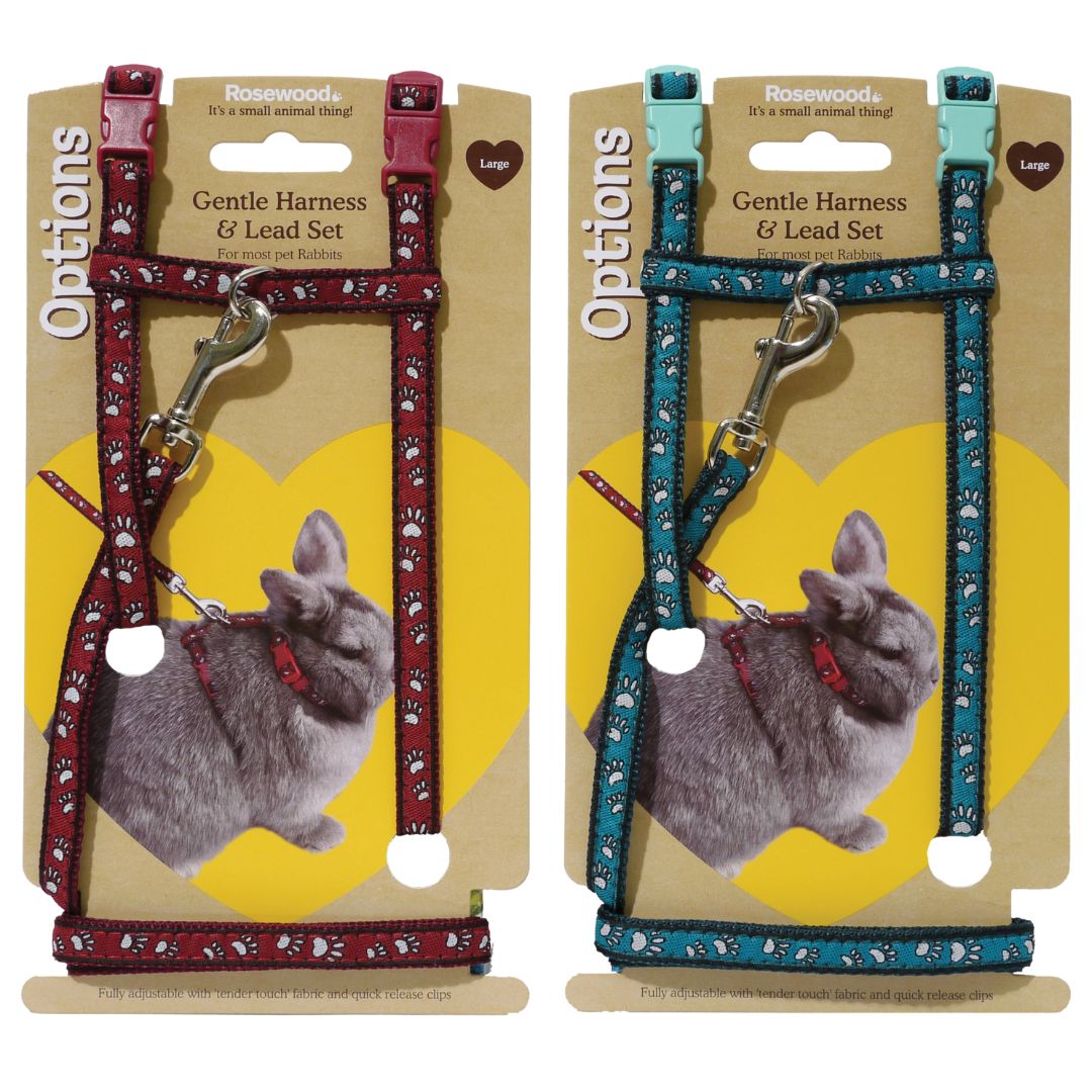 Rosewood Paw Print Harness and Lead Large