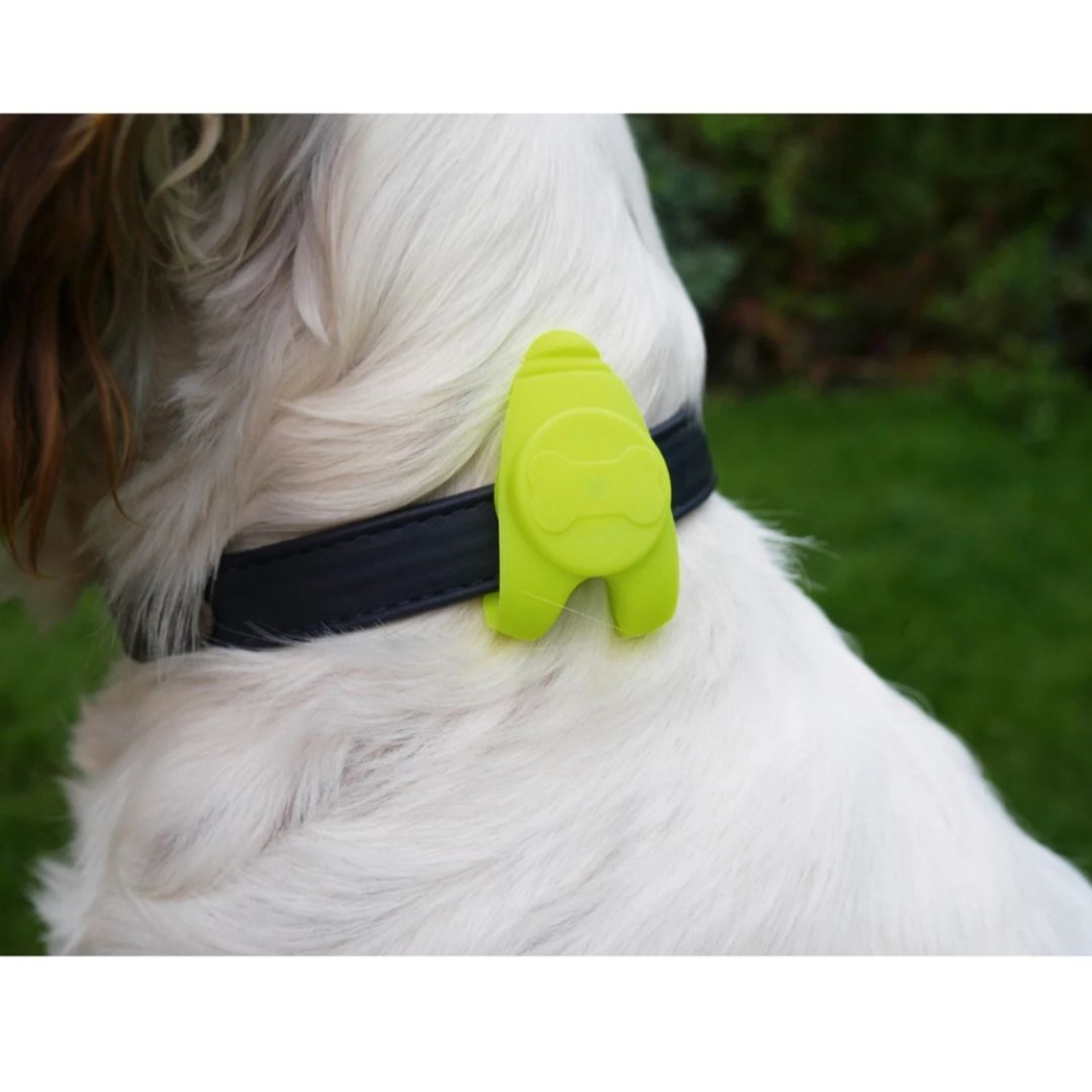 Silicon Collar Light