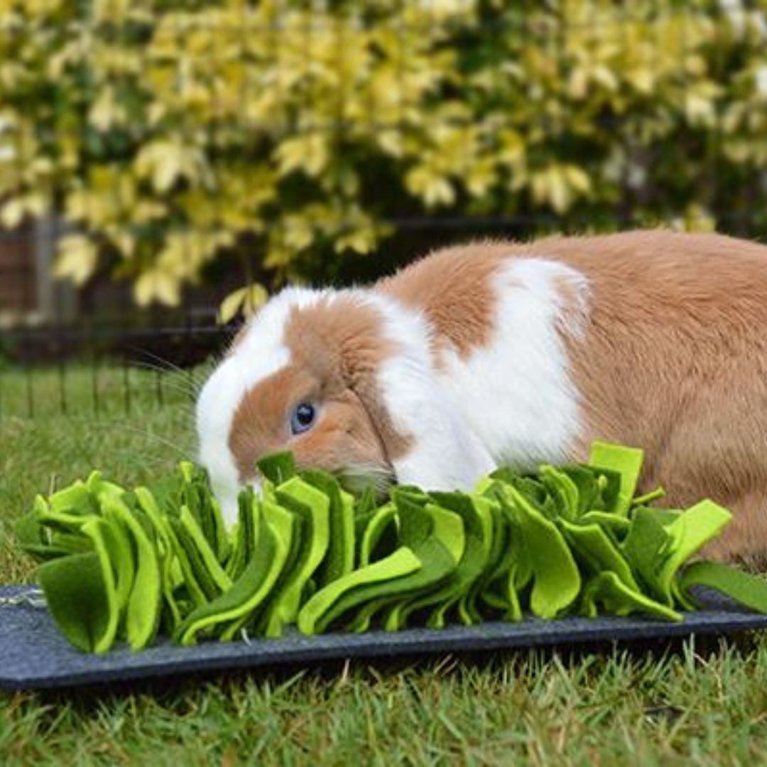Rosewood Snuffle Forage Mat 2
