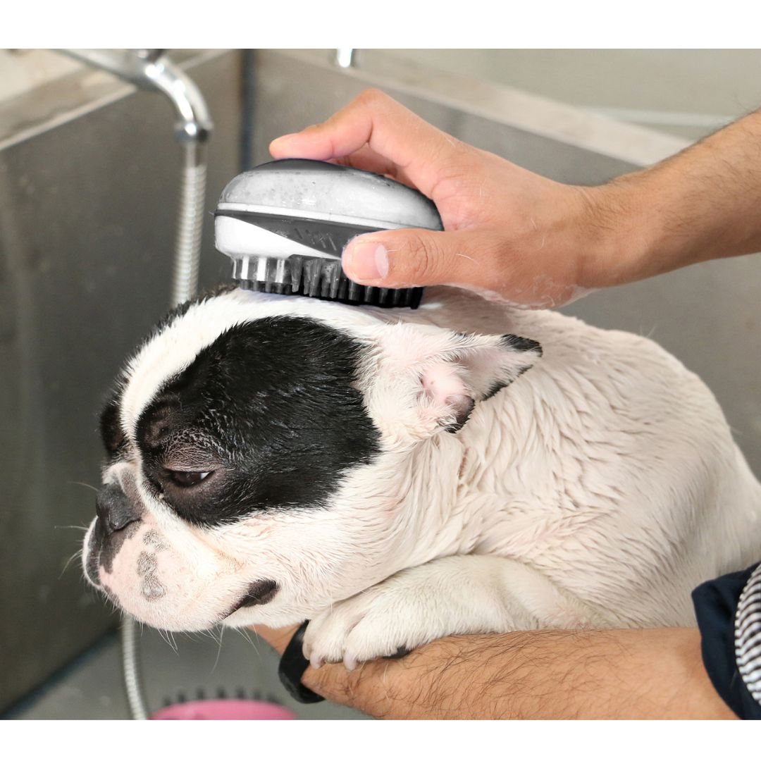 Rosewood 2 in 1 Bath & Groom Brush