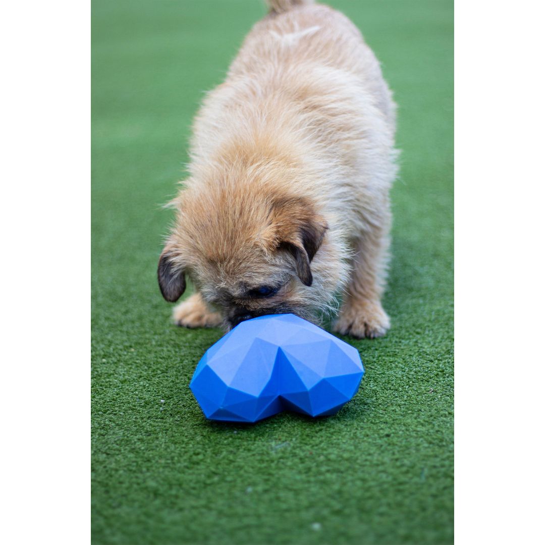 Rosewood Battersea Rubber Heart Treat Toy