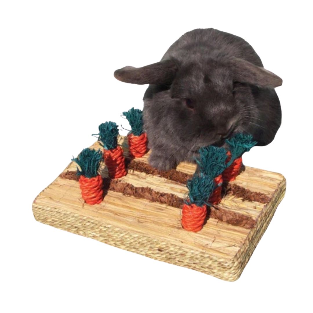 Rosewood Carrot Play Patch