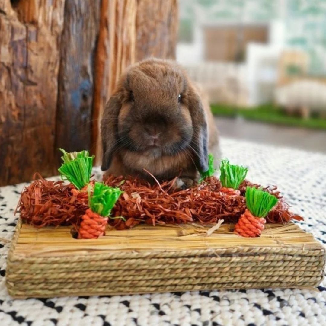 Rosewood Carrot Play Patch