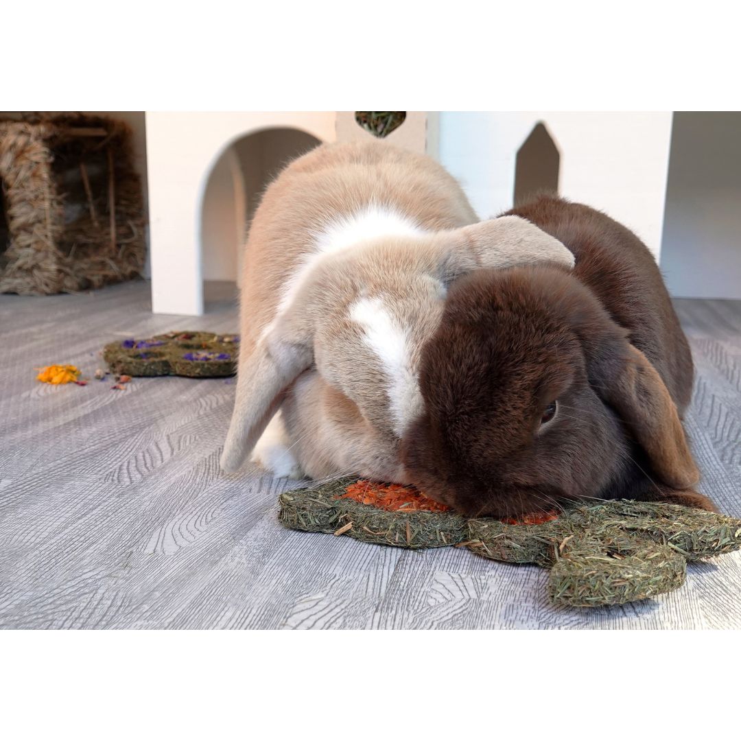 Rosewood Carrot 'n' Forage Bunny (19cm)