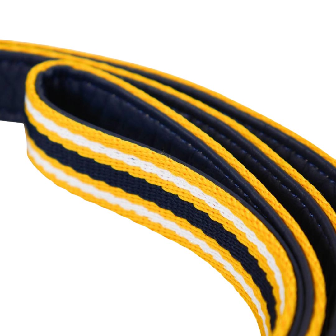 Rosewood & Joules Leads for Dogs