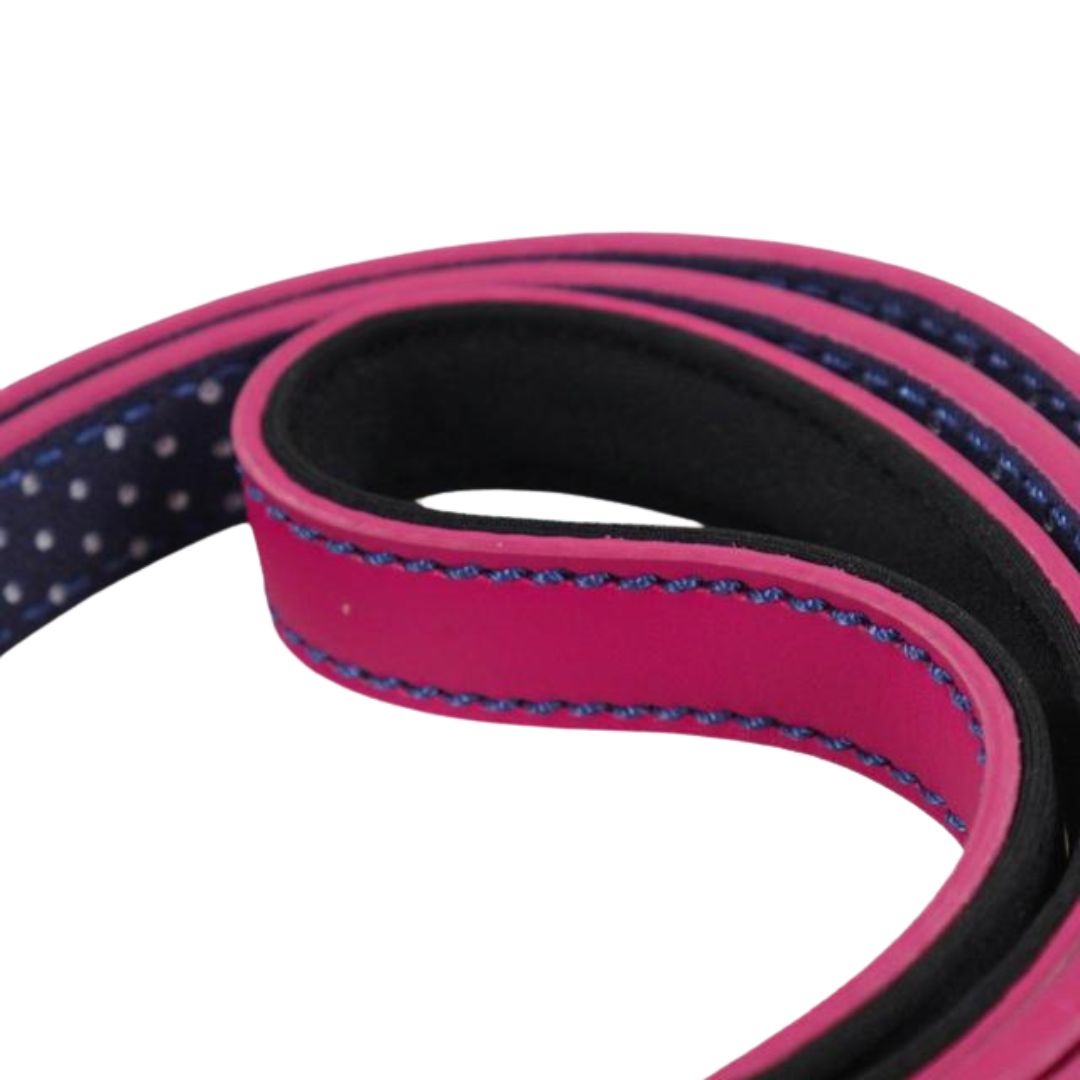 Rosewood & Joules Leads for Dogs