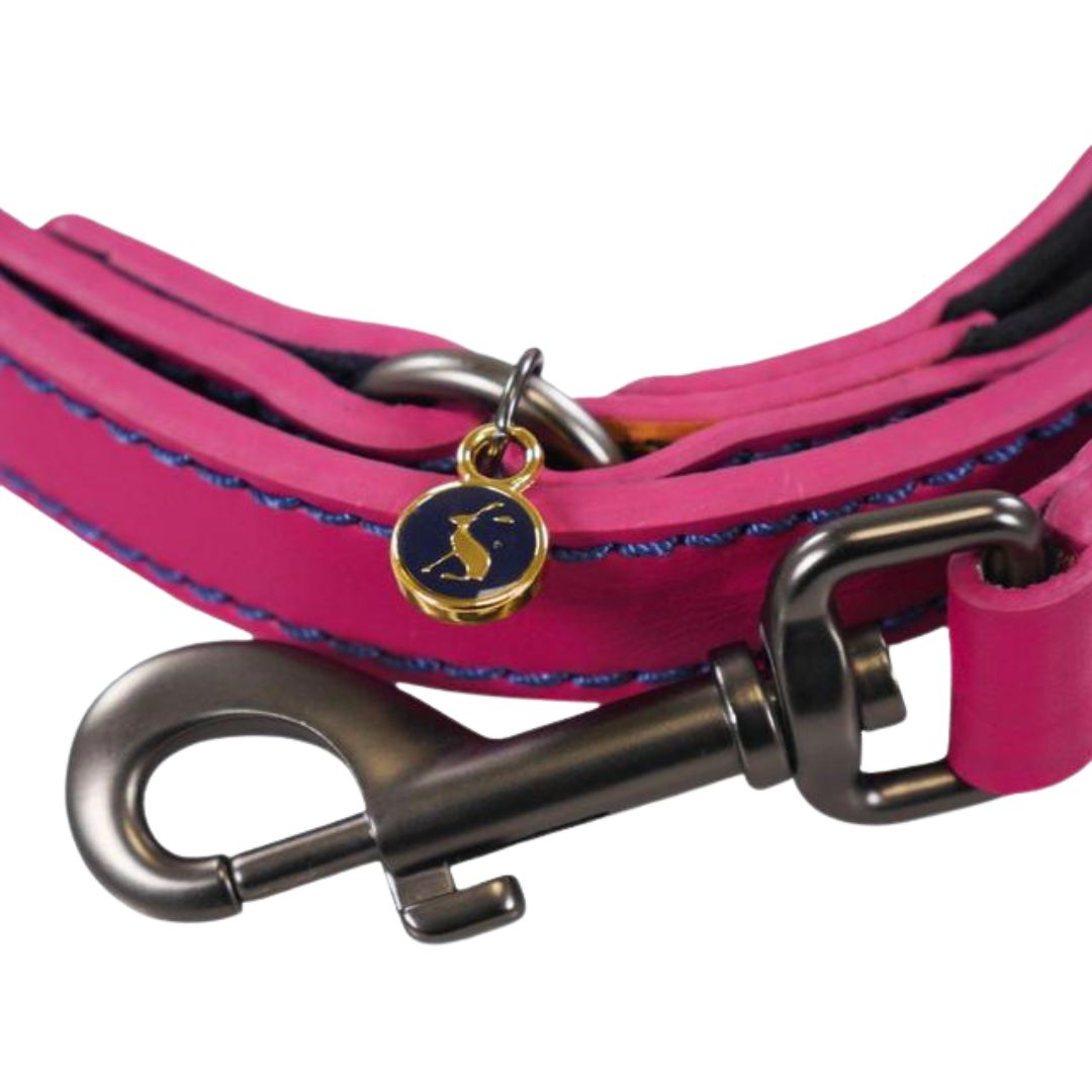 Rosewood & Joules Leads for Dogs
