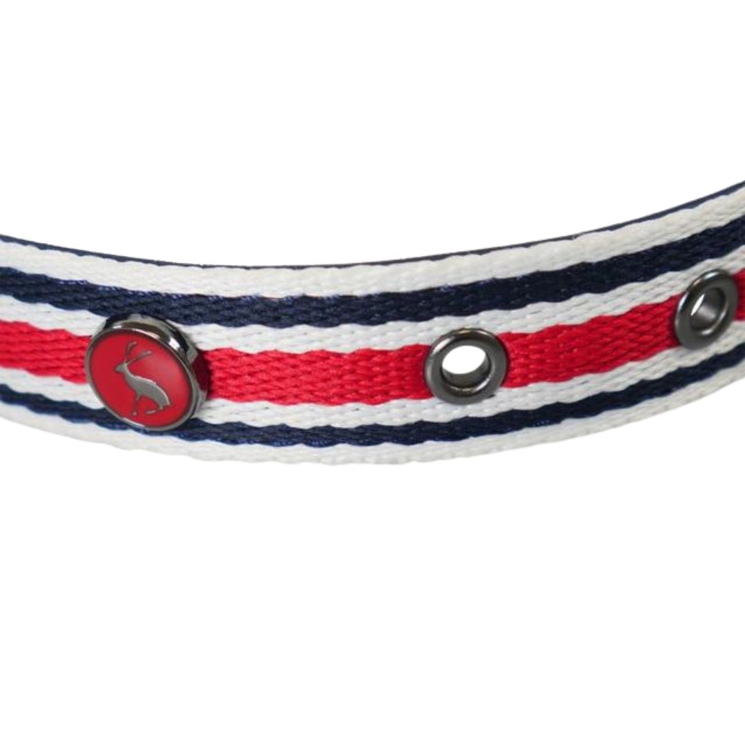 Rosewood & Joules Striped Dog Collar