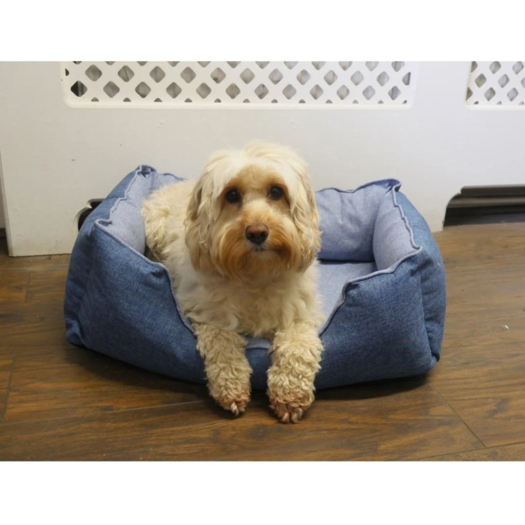 Rosewood Luxury Cooling Pet Bed