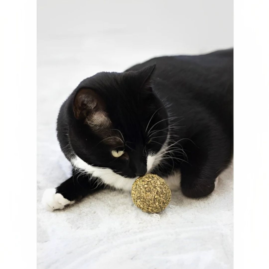 Naturals Catnip Ball