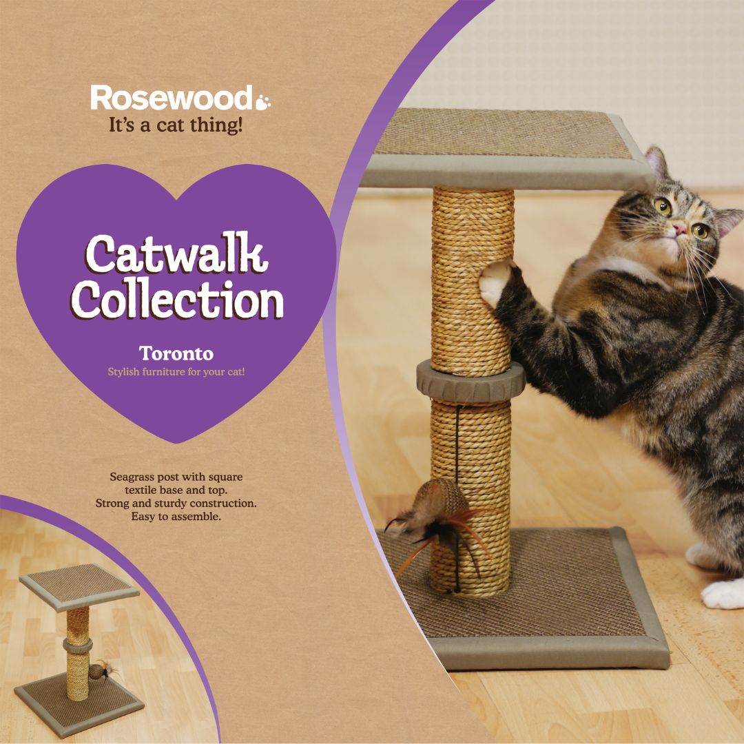 Rosewood Oregano Cat Scratcher
