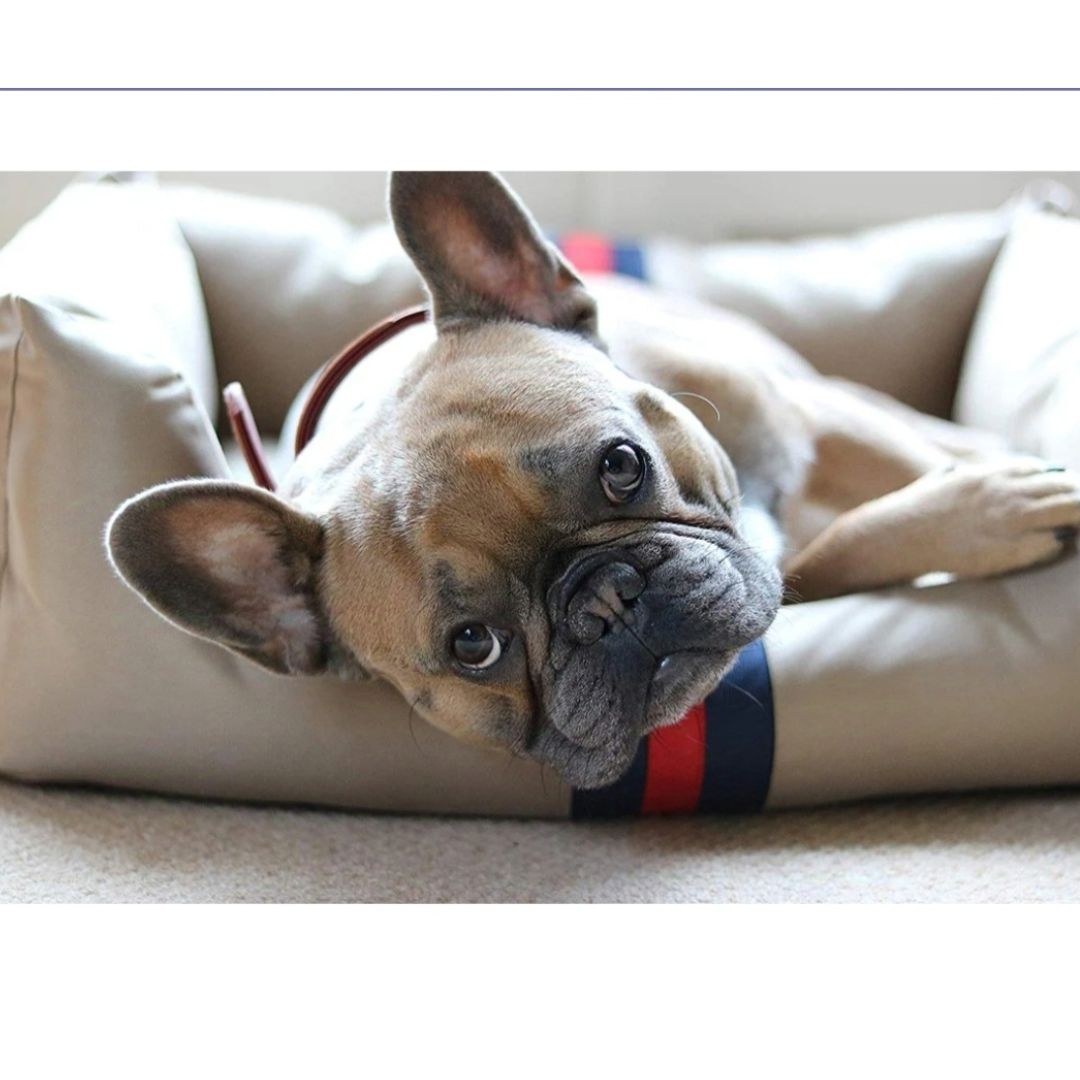 Rosewood Pet Bedding Designer Water Resistant Pet Bed