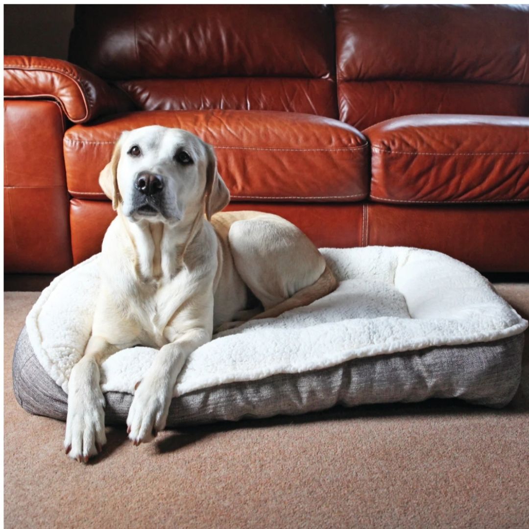 Rosewood Plush/Tweed Teddy Bear Mattress