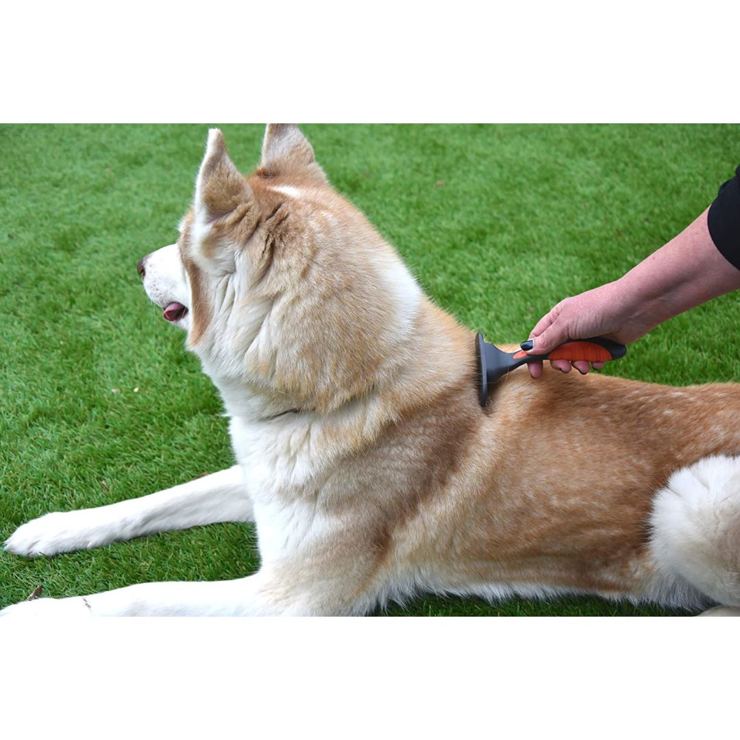 Salon Grooming Moult Stoppa