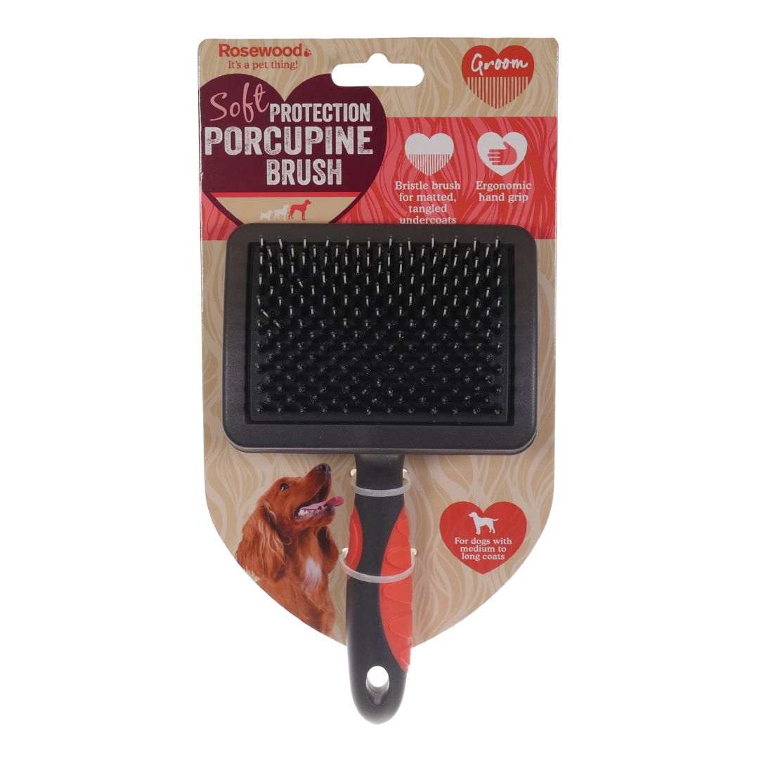Salon Grooming Porcupine Brush