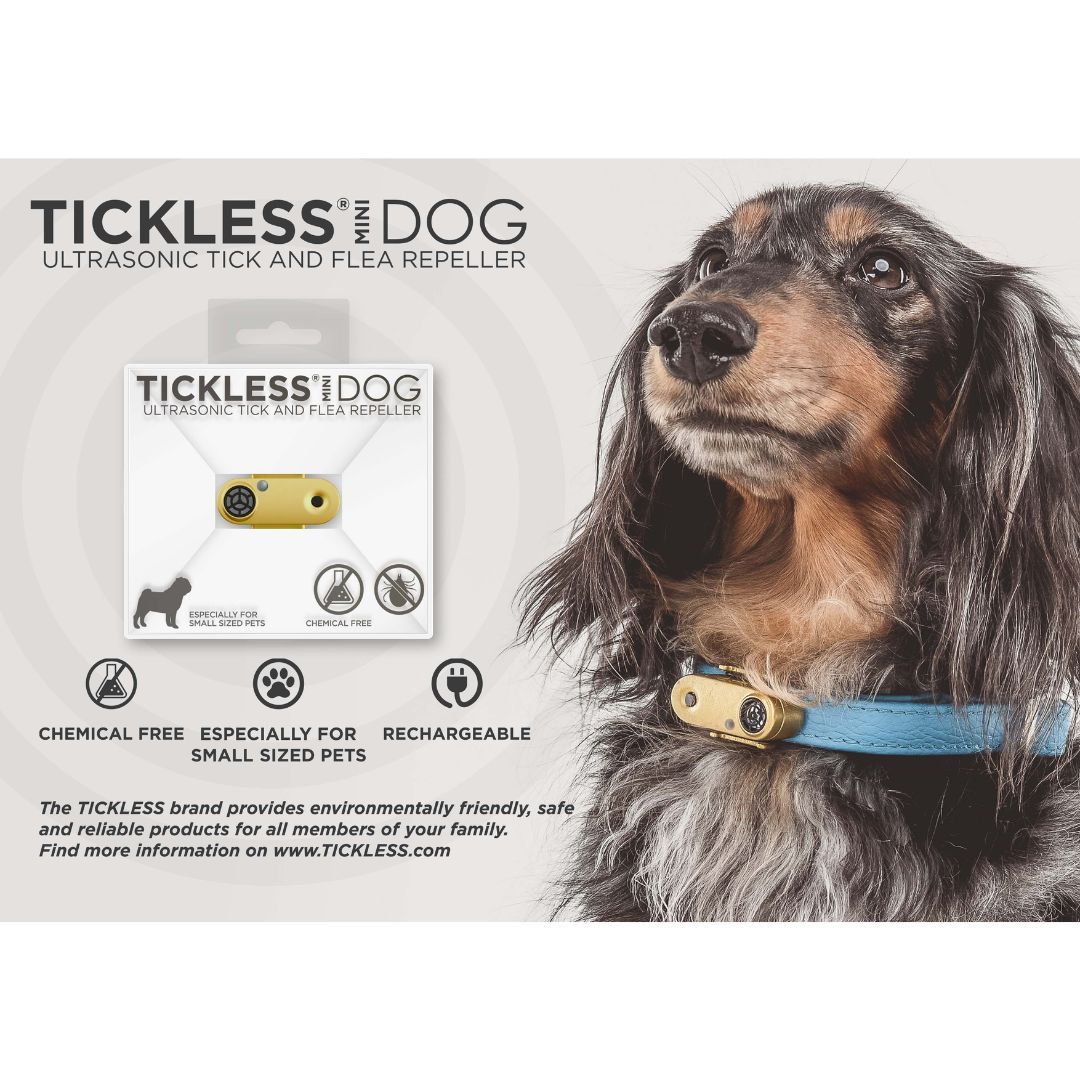 Tickless Mini Dog