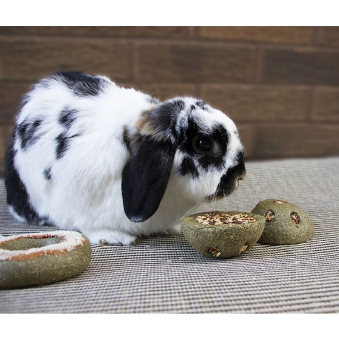 Treat 'n Gnaw Bunny Buns