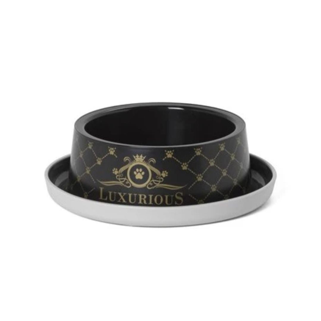 Trendy Dinner Bowl Range