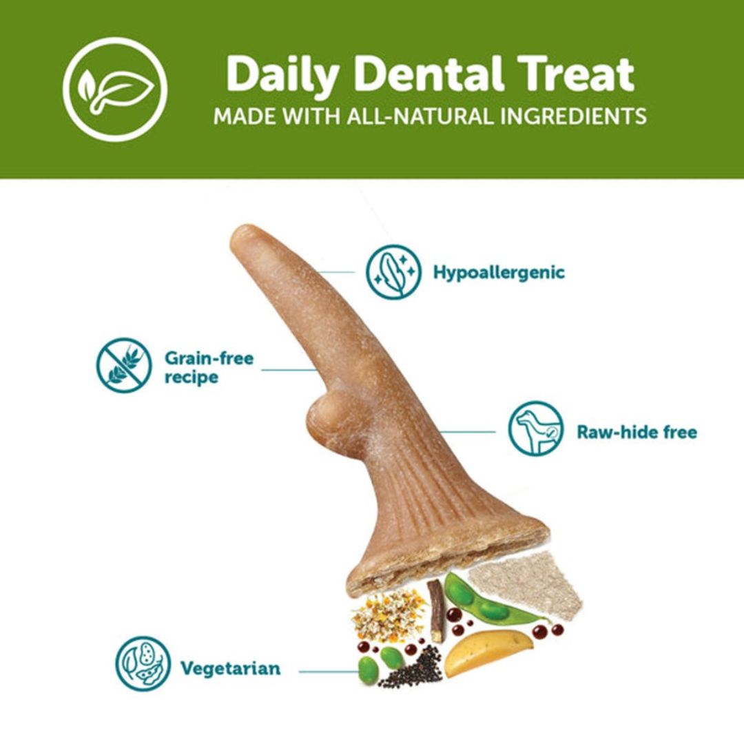 ANTLER MD 66pcs Box