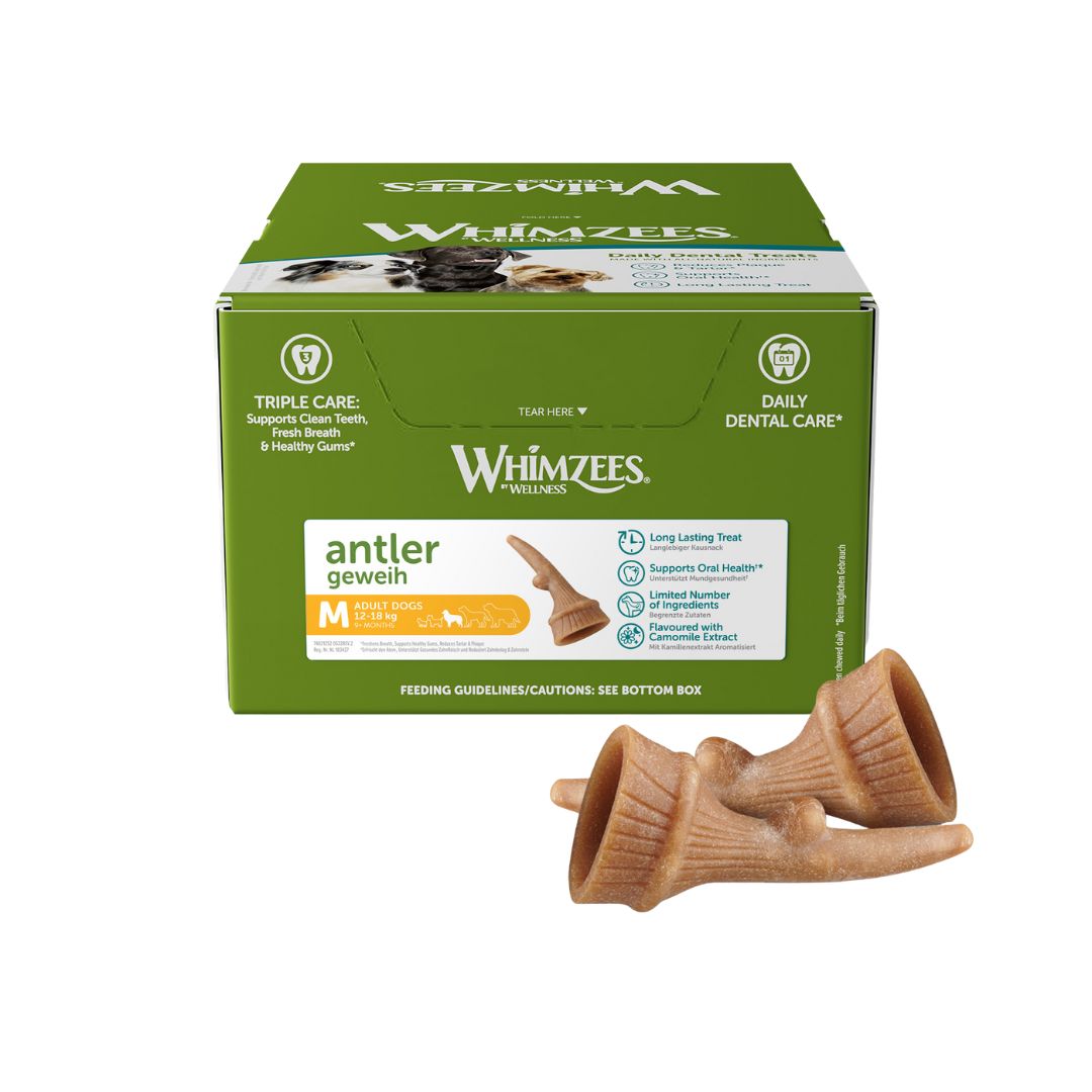ANTLER MD 66pcs Box