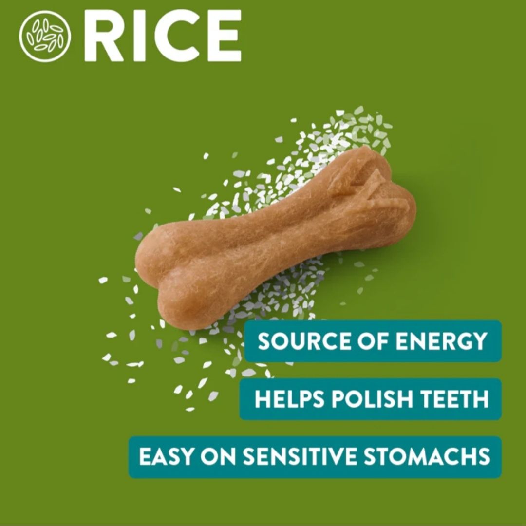 Whimzees Medium/Large Rice Bone Value Bag (9pc)
