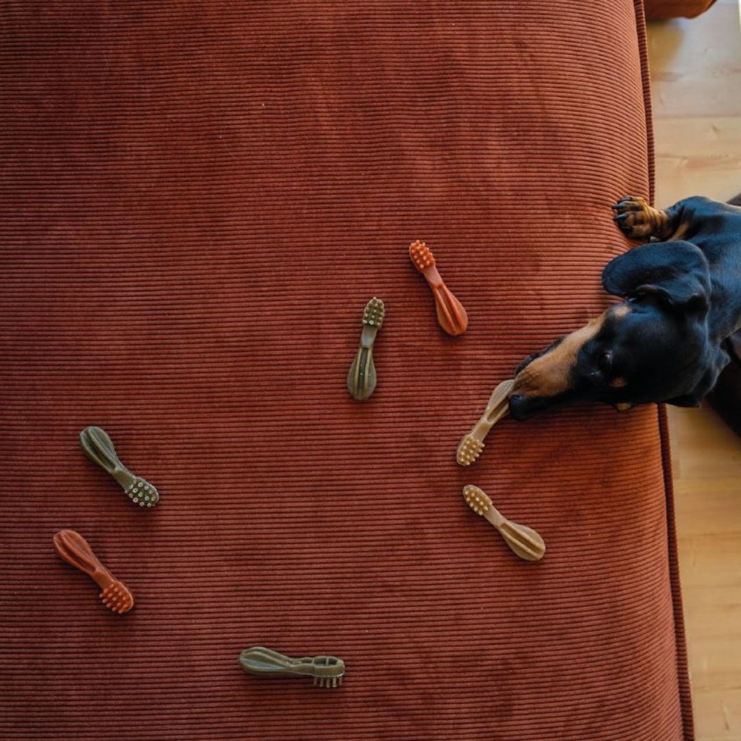 Whimzees Variety Value Tub Small 56pc