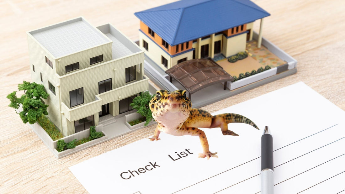 Easy Leopard Gecko Enclosure Setup for Beginners