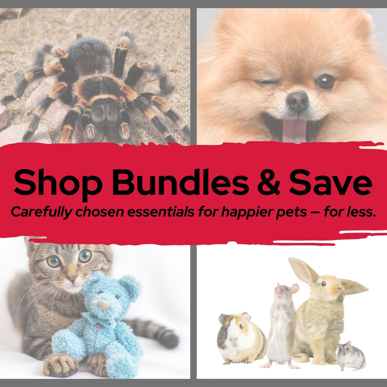 Save with Bundles