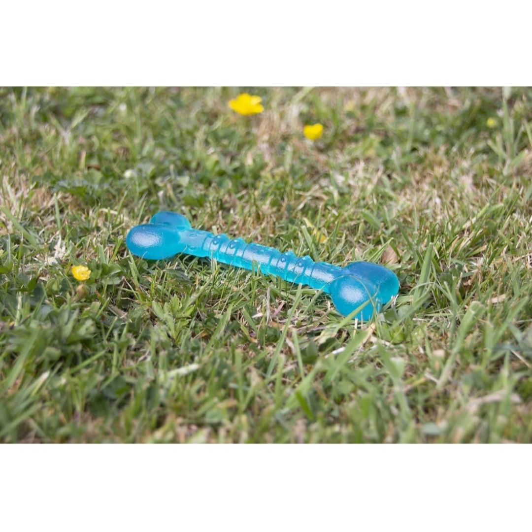 Biosafe Puppy Bone