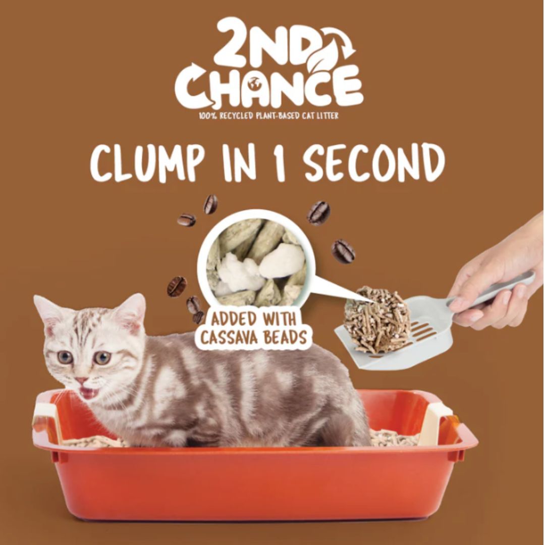 Kit Cat 2nd Chance Cat Litter