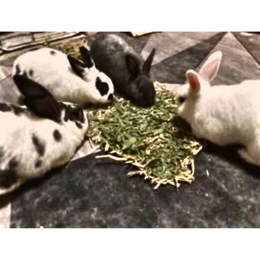 Willow-Topped Hay Mat