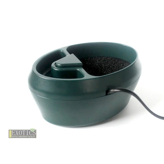 Second Generation Lizard Water Fountain