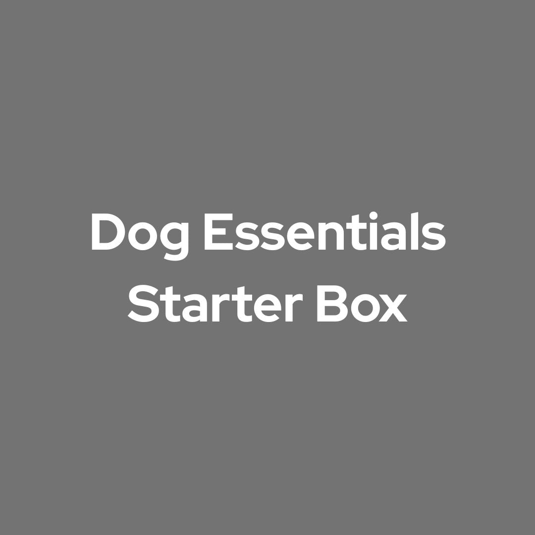 Dog Essentials Starter Box