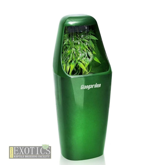 Reptile Drinking Fountain