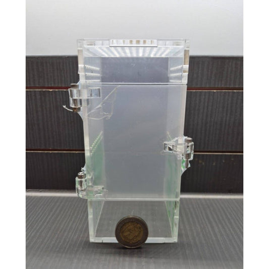 Acrylic Arboreal Enclosures (Tree Dwelling Species)
