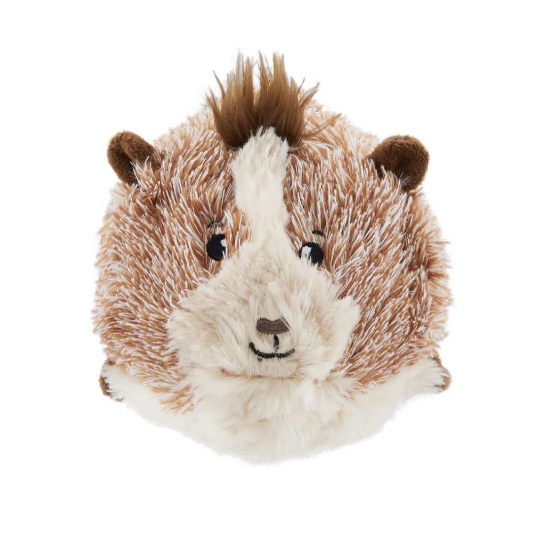 Jumbros Guinea Pig