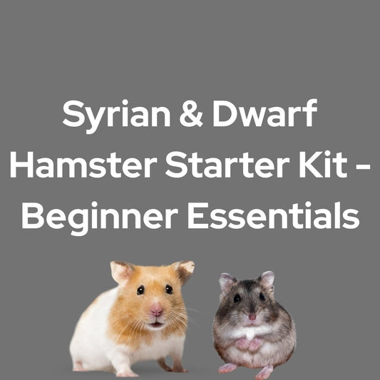 Syrian & Dwarf Hamster Starter Kit - Beginner Essentials