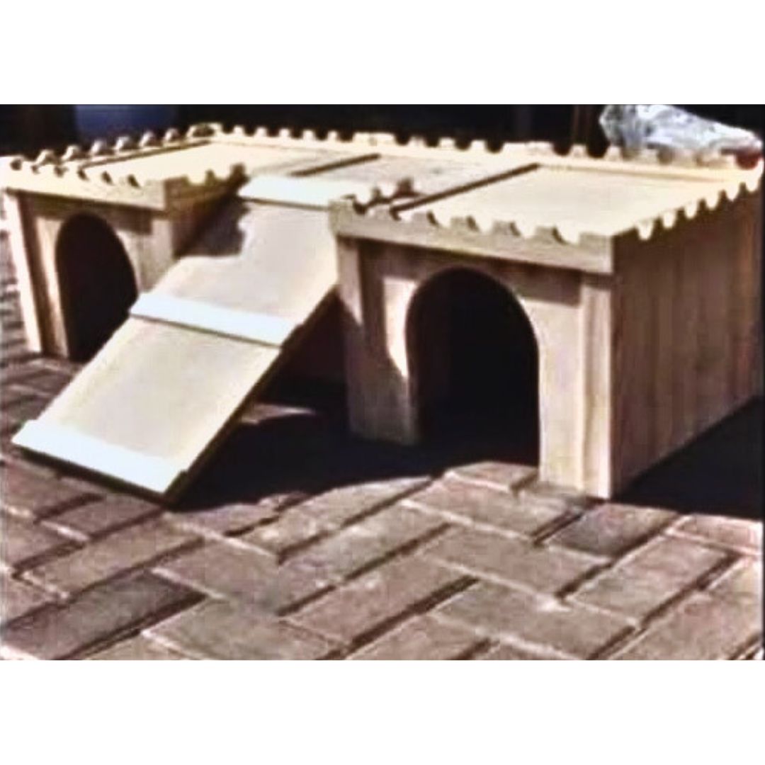 Single Level Castle With Tunnel System