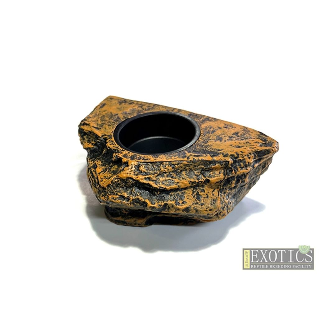 Ciliatus Food Bowl Single