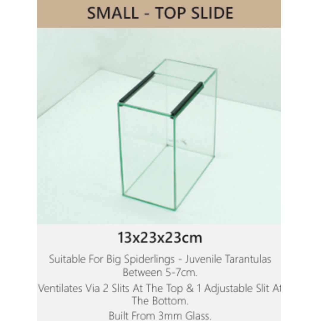 Small Top Slide Glass Terranium