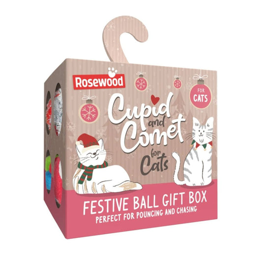 Festive Ball Gift Box