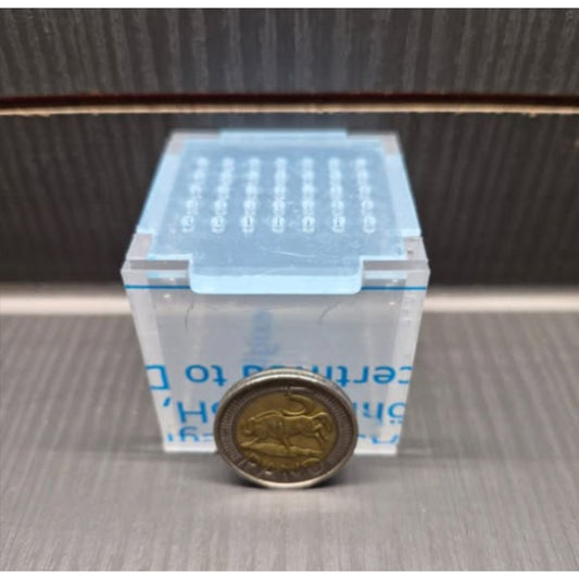 Acrylic Terrestrial Enclosures (Ground Dwelling Species)